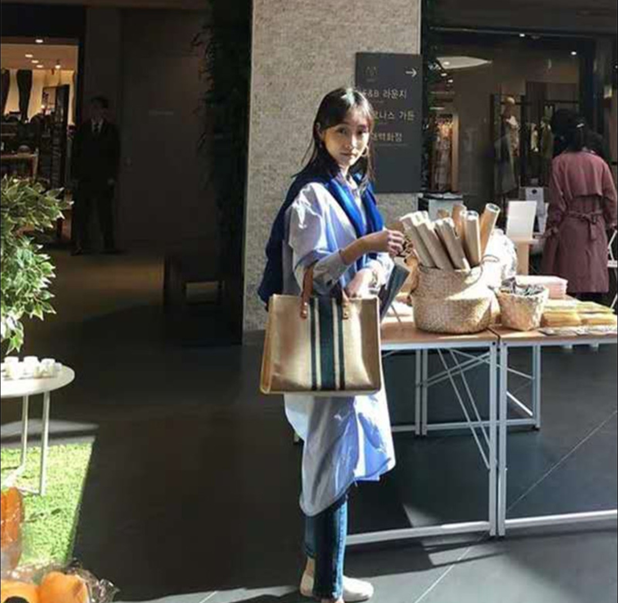 2026 New Striped Canvas Tote B - đánh giá và giá Women Hand Bags For Office